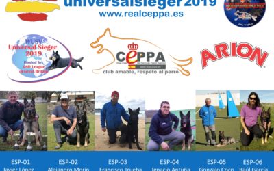 Universalsieger2019 Nantwich (UK)