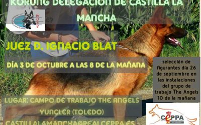 Abierta Inscripciones Delegación Castilla la Mancha Körung-AD-TSI